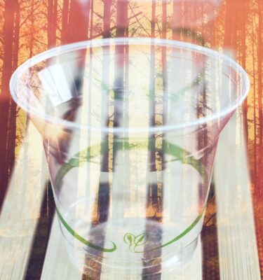 Vaso compostable