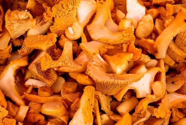 Cuatro alimentos con muy pocas calorías para incluir en tu dieta