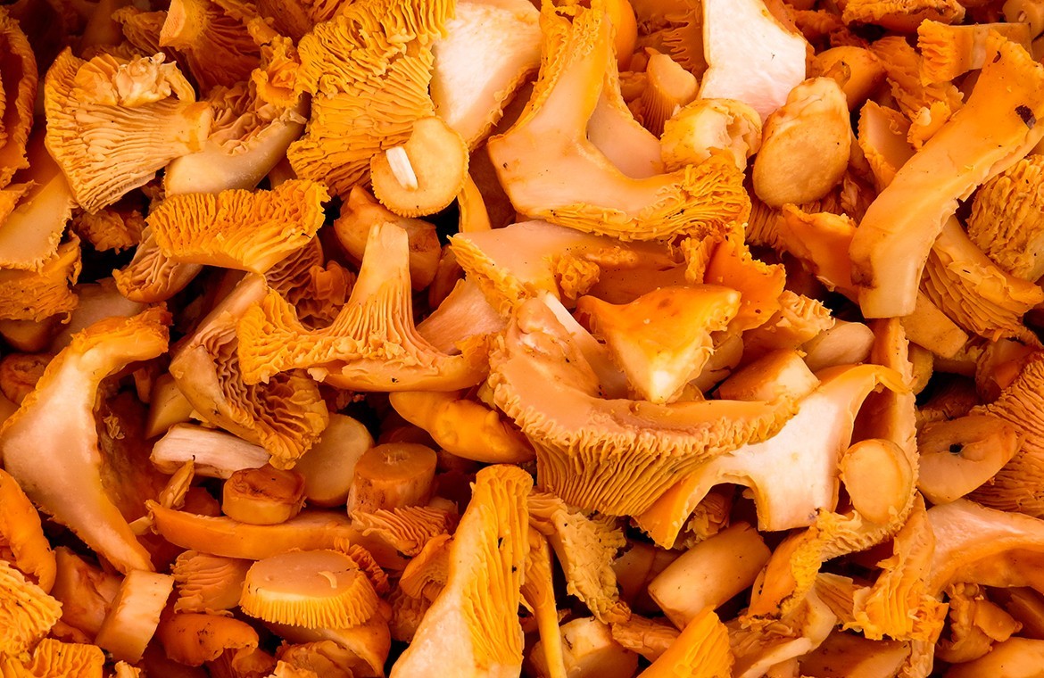 Cuatro alimentos con muy pocas calorías para incluir en tu dieta