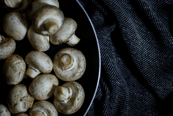 Todo lo que deberías saber de las setas 