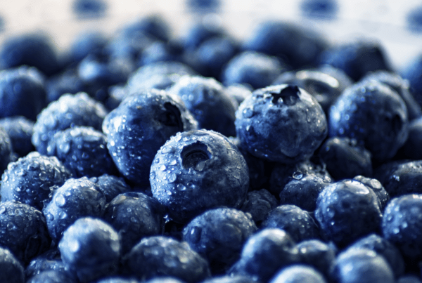 Estos son los beneficios de los arándanos que deberías conocer